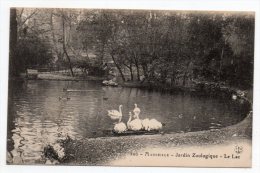 Cpa Marseille - Jardin Zoologique - Le Lac - (cygnes) - Parques, Jardines