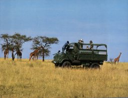 (431) Tanzania - Serengeti - Tanzanie