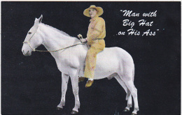 Arkansas Cotter Ozark Handicrafts Toys & Crafts "Man With Big Hat On His Ass" - Andere & Zonder Classificatie