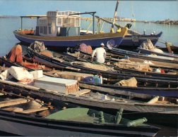 (253) Middle East - Saudi Arabia - Jeddah Fishing Boat - Arabie Saoudite