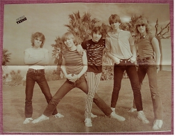 Musik Poster :  Gruppe Teens  -  Rückseite : Grace Jones  -  Ca. 1982 Aus Der Popcorn - Afiches & Pósters