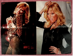 2 Kleine Poster  Amanda Lear  -  Von Bravo Ca. 1982 - Affiches & Posters