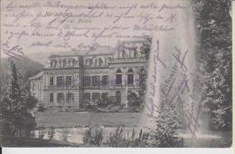 Litho Meiningen Erbprinzliche Palais Sw 12.07.1907 Adolf Büchner - Meiningen