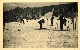 39 SEPTMONCEL - Un Champ De Ski - Septmoncel