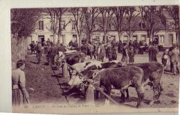 L'Aigle  61   Marché Aux Bestiaux - L'Aigle