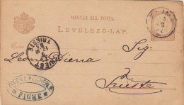 FIUME  /  TRIESTE -  Card _ Cartolina Postale Pubblicitaria - 1885 - Hojas Completas