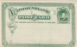 NEWFOUNDIAND (Terranova)  /  Card _ Cartolina Postale - Historia Postale