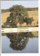 LAVOIR DE BLESSEY DIGUE - REFLET - SOURCE SEINE - Venarey Les Laumes