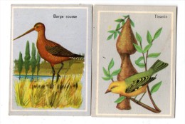 Chromo , Oiseaux à Travers Le Monde , Barge Rousse , Tisserin , LOT DE 2 CHROMO - Sonstige & Ohne Zuordnung