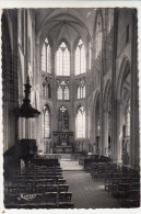 91 - SAINT-SULPICE-de-FAVIERES - Intérieur De L´ Eglise. (CPSM) - Saint Sulpice De Favieres
