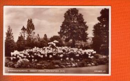 1 Cpa Abbey  Park Leicester Rhododendrons - Leicester