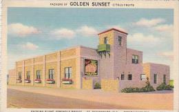 Florida St Petersburg Golden Sunset Citrus Packing Plant - St Petersburg