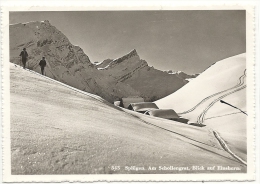 Splügen. Am Schollengrat, Blick Auf Einshorn - Splügen