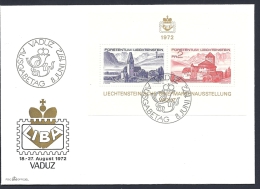 130403695  LIENCHTENSTEIN  YVERT  Nº  HB  12 - Storia Postale