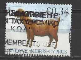 CYPRUS 2010 - DOMESTIC ANIMALS 0.34 - USED OBLITERE GESTEMPELT USADO - Oblitérés