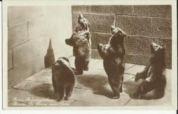 La  Fosse  Aux  Ours.   ( 2 Scans ) - Beren