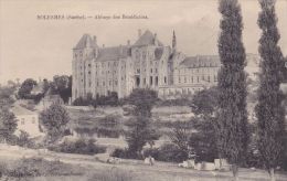 Cp , 72 , SOLESMES , Abbaye Des Bénédictins - Solesmes