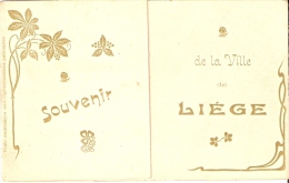 Souvenir De La Ville De Liege Carte Illustrée A Volets Multivues - Lüttich