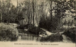 95 NESLES-LA-VALLEE - Un Coin Du Sausseron - Nesles-la-Vallée