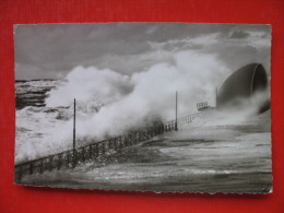 WESTERLAND Auf Sylt-Sturm - Sylt