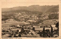 73. Ruffieux.  Vue Générale - Ruffieux