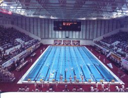 (101) Swimming Pool - Piscine - Natation