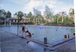 (101) Swimming Pool - Piscine - Salto De Trampolin