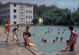 (101) Swimming Pool - Piscine - Swimming