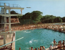 (101) Swimming Pool - Piscine - - Natation