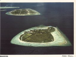 (899) Maldives Islands - Ile Des Maldives - Maldiven