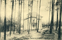 Alsemberg - Sanatorium Brugmand, Maison Du Directeur - 1912 ( Verso Zien ) - Beersel