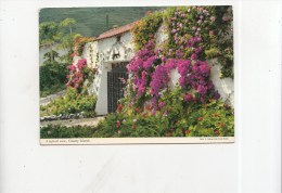 ZS36685 Canary Islands      2 Scans - Andere & Zonder Classificatie