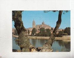 ZS36688 Salamanca Rfo Tormes Y Catedral    2 Scans - Salamanca