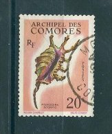 Timbre Des Comores - Oblitéré - Coquillages - Sonstige & Ohne Zuordnung