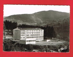 OLLIERGUES ( Puy De Dôme)  Colonie Des Pupilles De L'École Du Cher.....C.E.G. - Vue D'ensemble..... - Olliergues