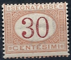 1890-94 REGNO SEGNATASSE 30 CENT MNH ** - RR11671-5 - Taxe