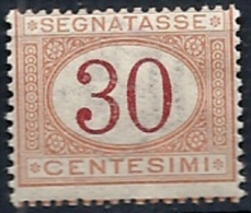 1890-94 REGNO SEGNATASSE 30 CENT MNH ** - RR11671-6 - Segnatasse