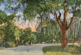 (202) Very Old Postcard - Carte Ancienne - USA - Savannah - Savannah
