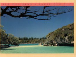 (543) New Caledonia - Nouvelle Calédonie - - Neukaledonien