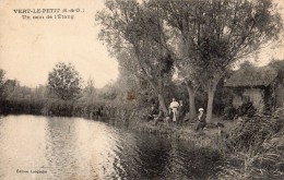 VERT-LE-PETIT UN COIN DE L ETANG ANIMEE - Vert-le-Petit