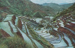 Philippines - The Rice Terraces - Philippines
