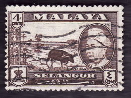 SELANGOR (MALAISIE) 1957  -  YT  81 - Oblitéré - Selangor