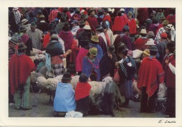 Mercado Indigena Chimborazo Ecuador - Ecuador