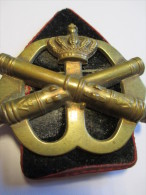 Insigne Artillerie /Brigade Prinses Irene / Hollande/1953-1963     IB52 - Otros & Sin Clasificación