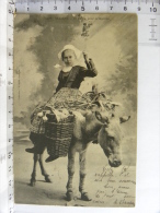 CPA Précurseur 1903 - (29) Finistère ELLIANT En Route Pour Le Marché, Jeune Fille Sur Le Dos D'un âne - Elliant