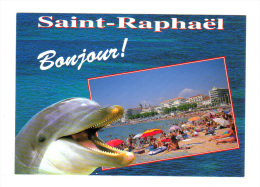 Saint Raphael: Dauphin (13-1535) - Delfines