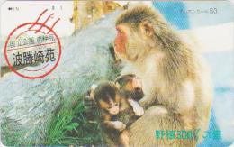 ANIMALS - MONKEY - H111 - JAPAN - 290-6258 - Unclassified