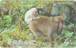 ANIMALS - MONKEY - H112 - JAPAN - 411-094 - Non Classificati