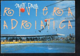 H1150 Delfino, Dolphin, Dauphin - Saluti Dalla Riviera Adriatica  - Ed. Nuova Gross -   Gruss Aus, Greetings From - Dauphins