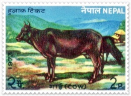 NEPAL COW 2 PAISA STAMP NEPAL 1973 MINT MNH - Cows